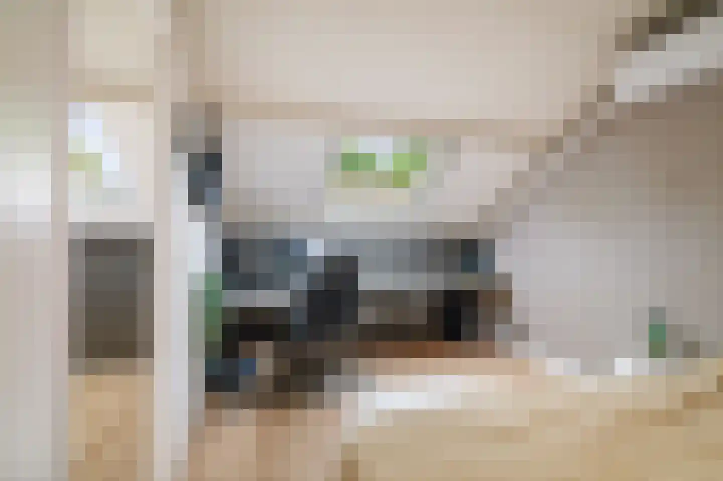 Cort van der Lindenstraat 28 Epe thumbnail 30