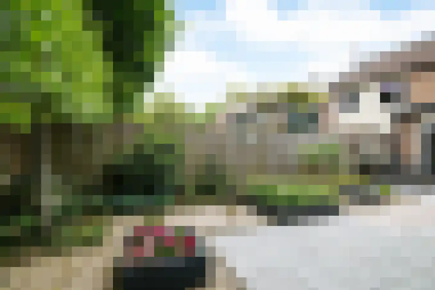 Cort van der Lindenstraat 28 Epe thumbnail 36