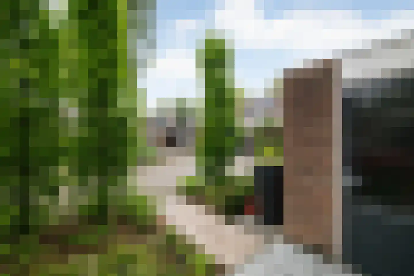 Cort van der Lindenstraat 28 Epe thumbnail 6
