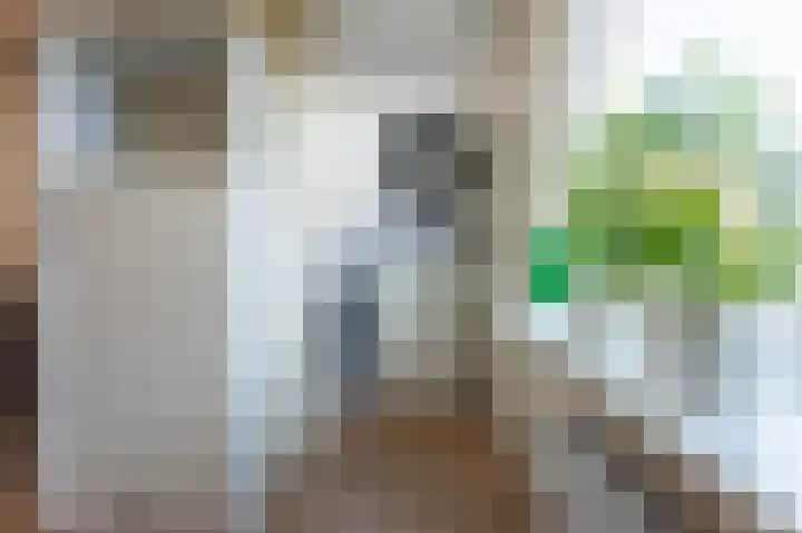 Cort van der Lindenstraat 3 Veenoord thumbnail 15