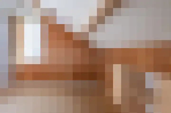 Cort van der Lindenstraat 3 Veenoord thumbnail 25