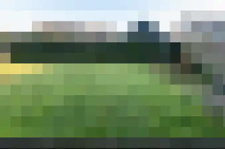 Cort van der Lindenstraat 3 Veenoord thumbnail 29