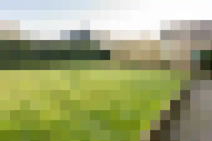 Cort van der Lindenstraat 3 Veenoord thumbnail 30