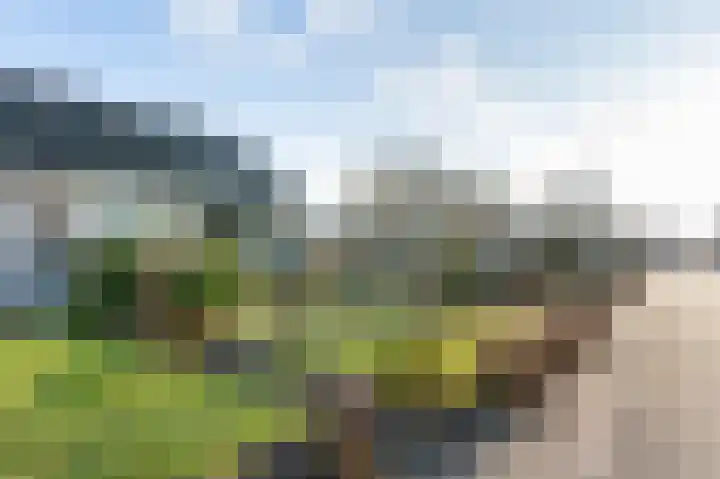 Cort van der Lindenstraat 3 Veenoord thumbnail 35