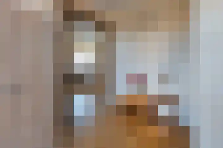 Cort van der Lindenstraat 3 Veenoord thumbnail 7