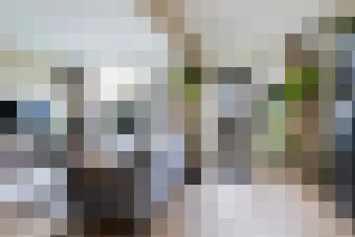 Cort van der Lindenstraat 34 Apeldoorn thumbnail 10