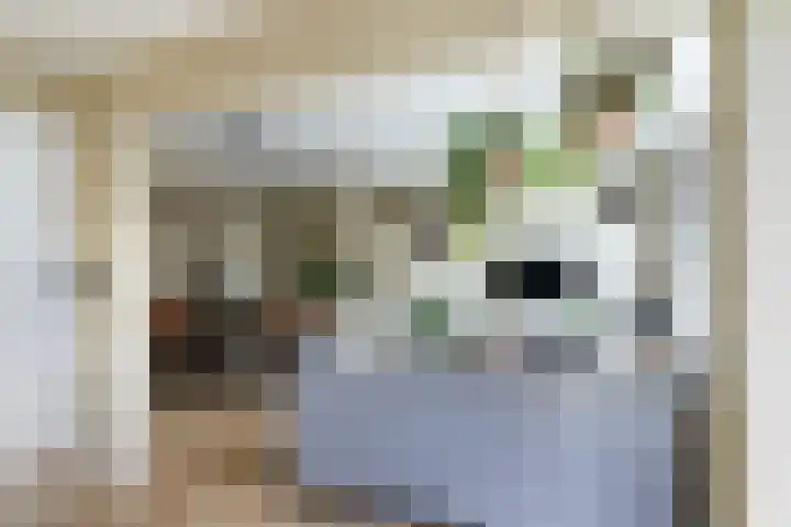 Cort van der Lindenstraat 34 Apeldoorn thumbnail 11