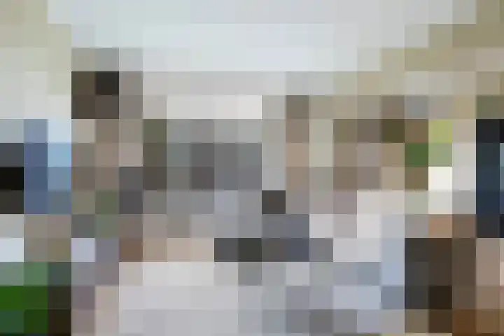Cort van der Lindenstraat 34 Apeldoorn thumbnail 13
