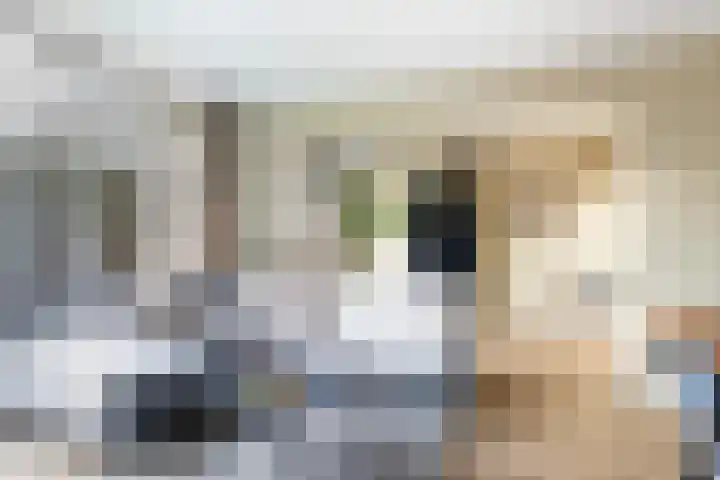 Cort van der Lindenstraat 34 Apeldoorn thumbnail 14