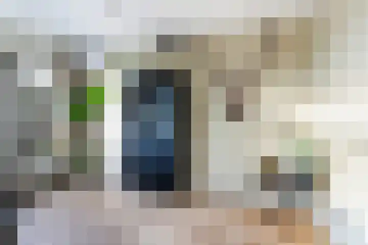 Cort van der Lindenstraat 34 Apeldoorn thumbnail 15