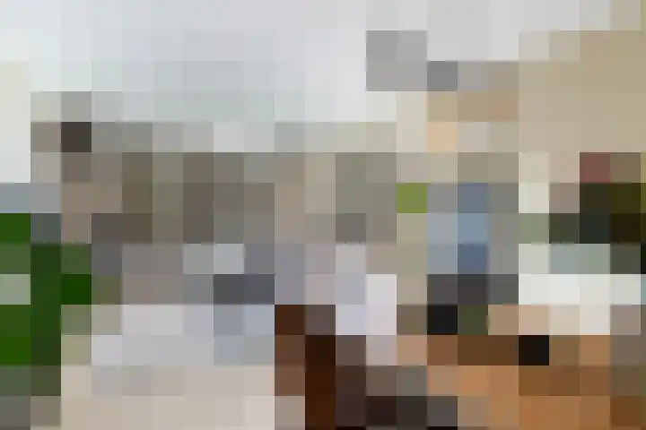 Cort van der Lindenstraat 34 Apeldoorn thumbnail 16