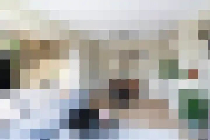 Cort van der Lindenstraat 34 Apeldoorn thumbnail 17
