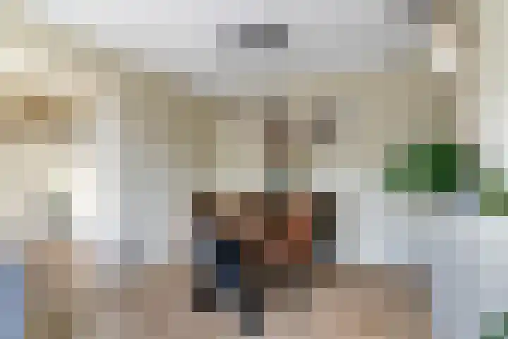 Cort van der Lindenstraat 34 Apeldoorn thumbnail 18