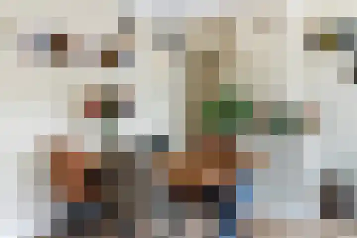 Cort van der Lindenstraat 34 Apeldoorn thumbnail 19
