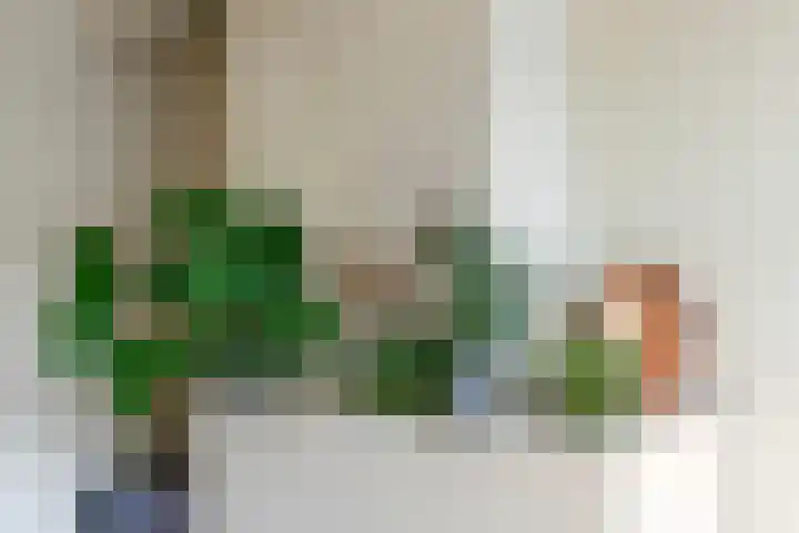 Cort van der Lindenstraat 34 Apeldoorn thumbnail 20
