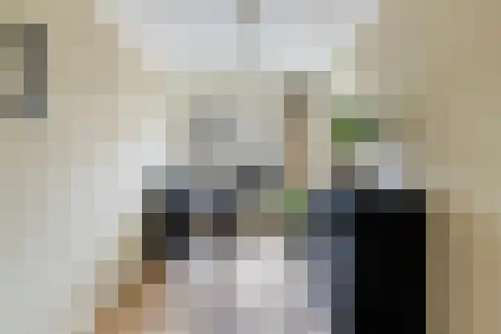 Cort van der Lindenstraat 34 Apeldoorn thumbnail 21