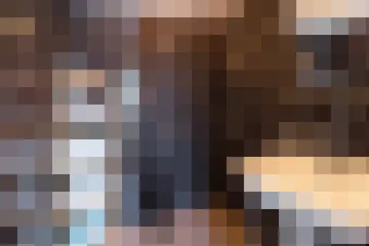 Cort van der Lindenstraat 34 Apeldoorn thumbnail 24