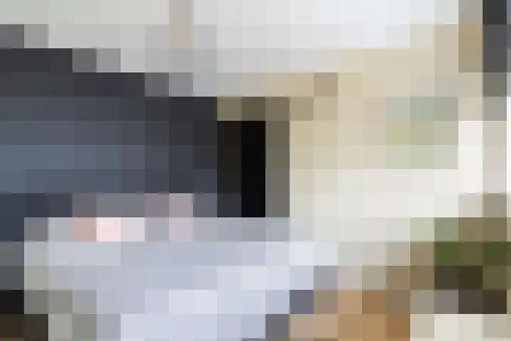 Cort van der Lindenstraat 34 Apeldoorn thumbnail 27