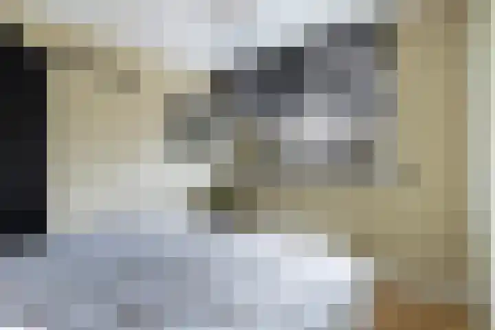 Cort van der Lindenstraat 34 Apeldoorn thumbnail 28