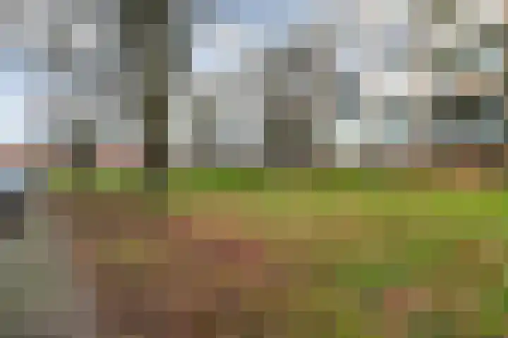 Cort van der Lindenstraat 34 Apeldoorn thumbnail 30