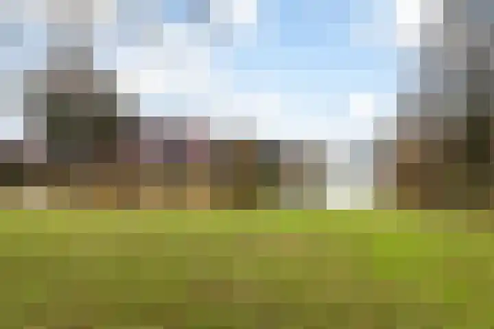 Cort van der Lindenstraat 34 Apeldoorn thumbnail 31