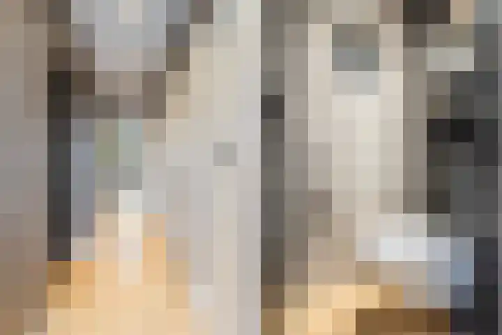 Cort van der Lindenstraat 34 Apeldoorn thumbnail 9