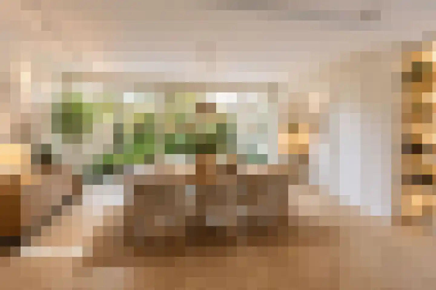 Cort van der Lindenstraat 34 Zandvoort thumbnail 13