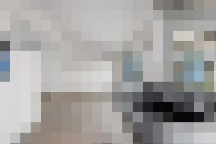 Cort van der Lindenstraat 36 Zandvoort thumbnail 14