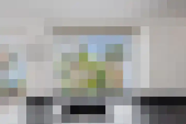 Cort van der Lindenstraat 36 Zandvoort thumbnail 18