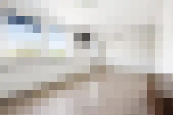 Cort van der Lindenstraat 36 Zandvoort thumbnail 25