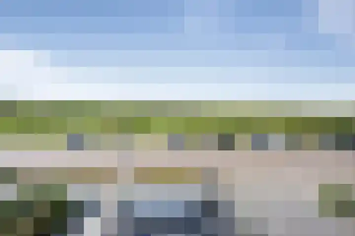 Cort van der Lindenstraat 36 Zandvoort thumbnail 33