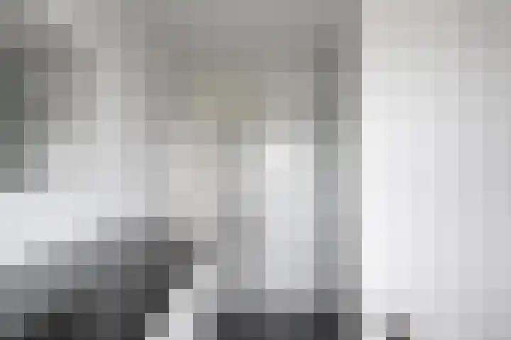 Cort van der Lindenstraat 36 Zandvoort thumbnail 37