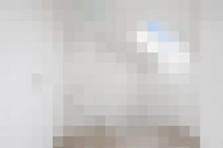 Cort van der Lindenstraat 36 Zandvoort thumbnail 38