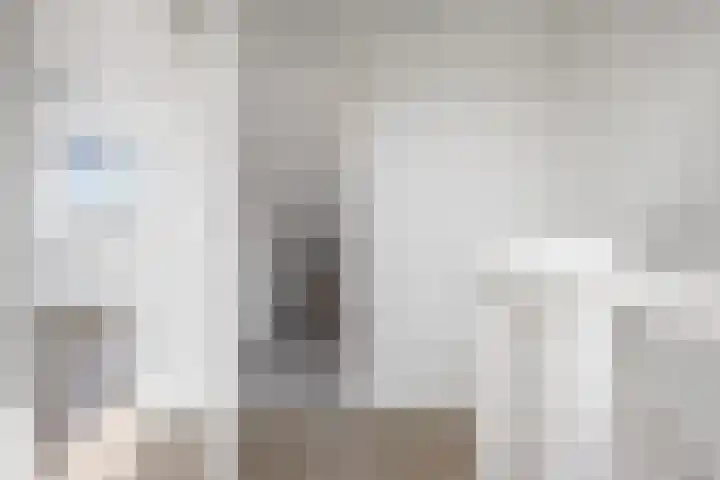 Cort van der Lindenstraat 36 Zandvoort thumbnail 39