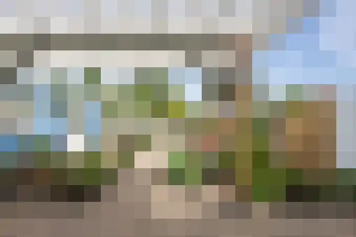 Cort van der Lindenstraat 36 Zandvoort thumbnail 44