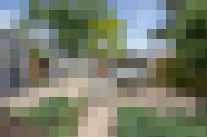 Cort van der Lindenstraat 36 Zandvoort thumbnail 48