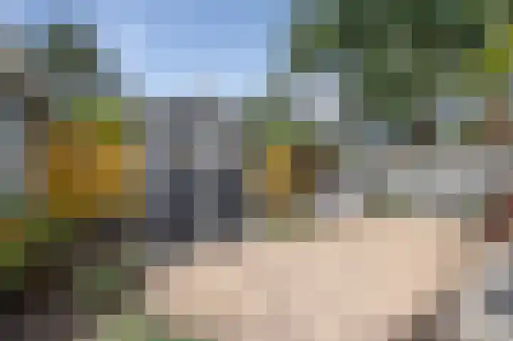 Cort van der Lindenstraat 36 Zandvoort thumbnail 49