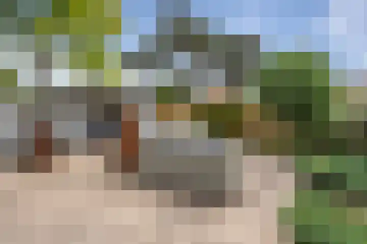 Cort van der Lindenstraat 36 Zandvoort thumbnail 50