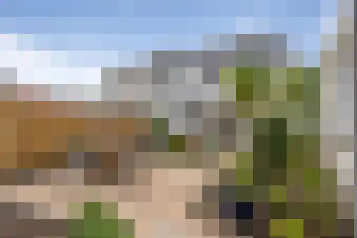 Cort van der Lindenstraat 36 Zandvoort thumbnail 52