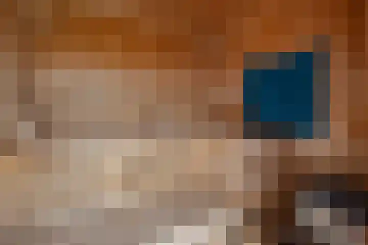 Cort van der Lindenstraat 36 Zandvoort thumbnail 65