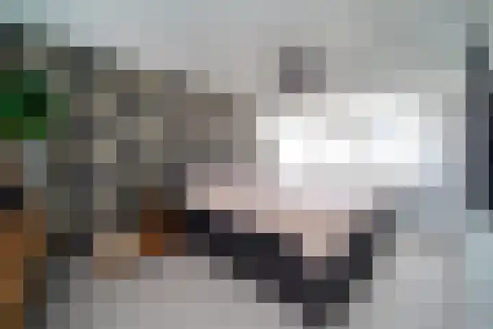 Cort van der Lindenstraat 4 Naaldwijk thumbnail 12