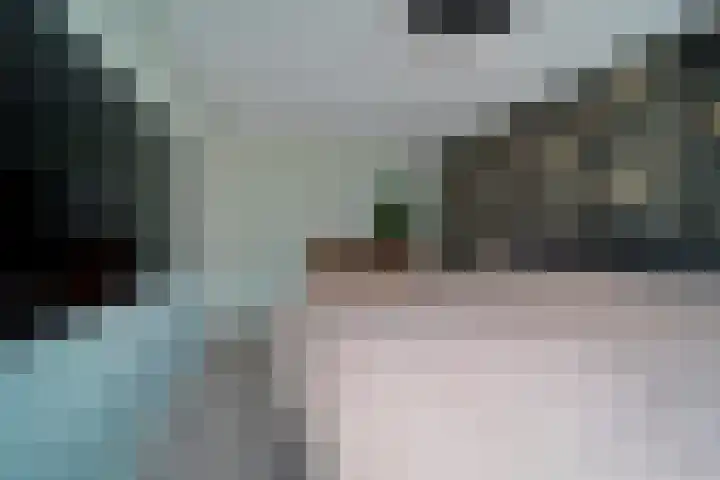 Cort van der Lindenstraat 4 Naaldwijk thumbnail 13