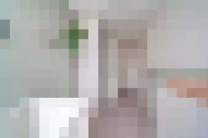 Cort van der Lindenstraat 4 Naaldwijk thumbnail 16