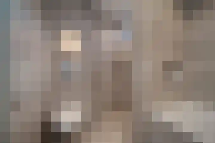 Cort van der Lindenstraat 4 Naaldwijk thumbnail 18
