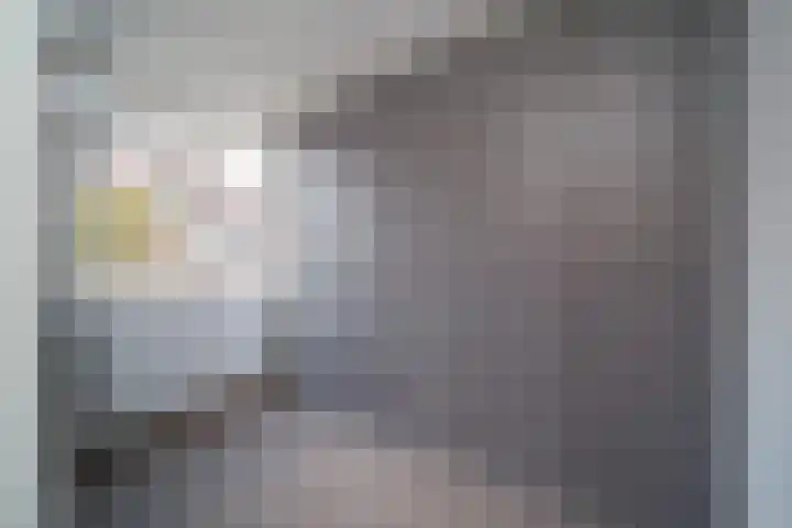 Cort van der Lindenstraat 4 Naaldwijk thumbnail 19