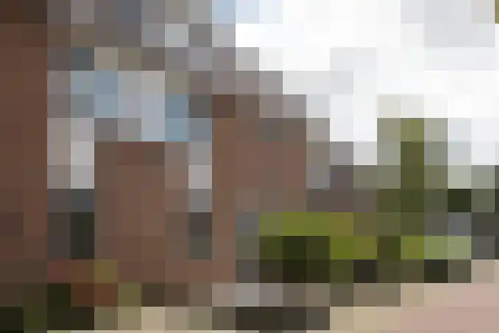 Cort van der Lindenstraat 4 Naaldwijk thumbnail 25