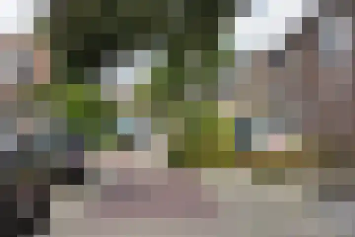 Cort van der Lindenstraat 4 Naaldwijk thumbnail 26