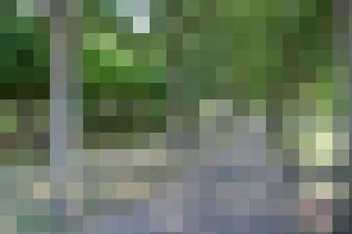 Cort van der Lindenstraat 4 Naaldwijk thumbnail 27