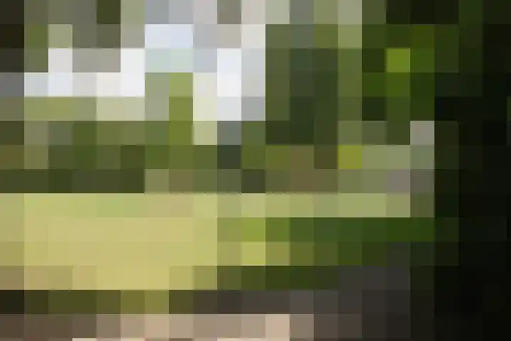 Cort van der Lindenstraat 4 Naaldwijk thumbnail 28