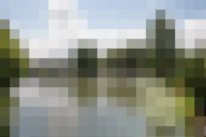 Cort van der Lindenstraat 4 Naaldwijk thumbnail 29